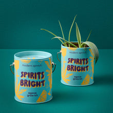 Modern Sprout - Half Pint Grow Kits 