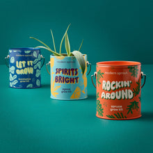 Modern Sprout - Half Pint Grow Kits 