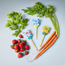 Modern Sprout - Garden Seed Pops 