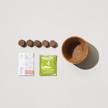 Modern Sprout - Tiny Terracotta Grow Kits: Live Well Lavender 