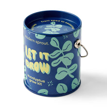 Modern Sprout - Half Pint Grow Kits 