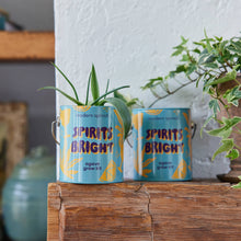 Modern Sprout - Half Pint Grow Kits 