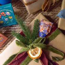 Modern Sprout - Pollinator Seed Pops 