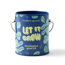 Modern Sprout - Half Pint Grow Kits 