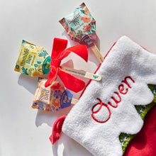 Modern Sprout - Pollinator Seed Pops 