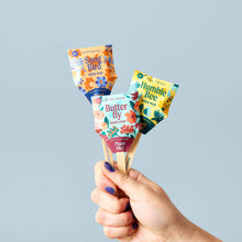 Modern Sprout - Pollinator Seed Pops 