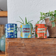 Modern Sprout - Half Pint Grow Kits 