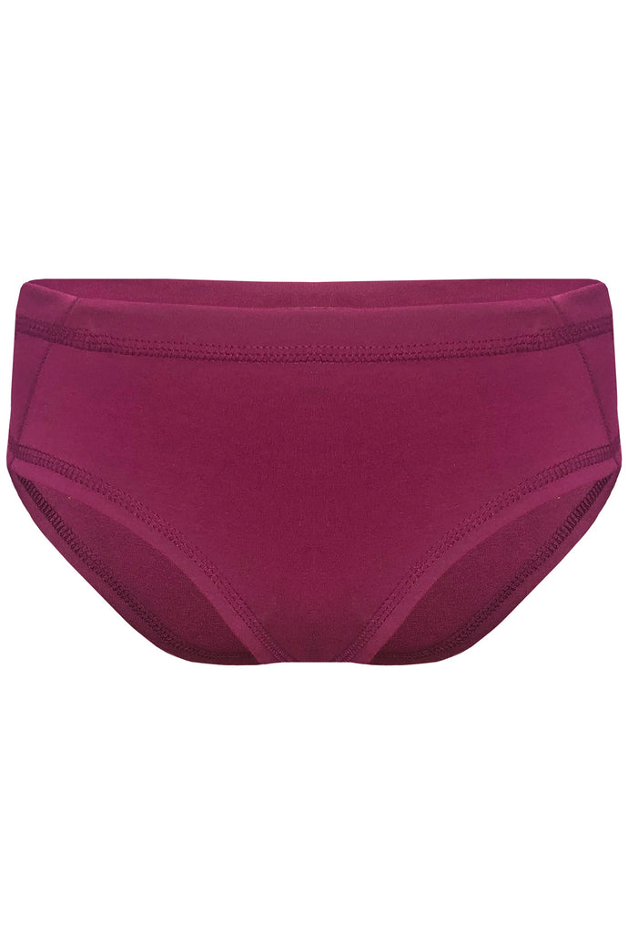High Rise Cheeky Pink Hemp Organic Cotton Women Underwear Ethical Hemp  Panties Eco-friendly -  Canada